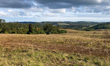 Campo de 87,6 hectáreas colindante a carretera, con río y a 15 min de Los Muermos