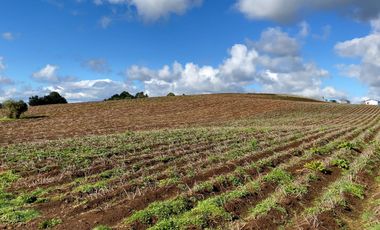 Campo de 87,6 hectáreas colindante a carretera, con río y a 15 min de Los Muermos