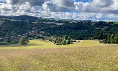 Campo de 87,6 hectáreas colindante a carretera, con río y a 15 min de Los Muermos