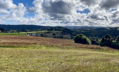 Campo de 87,6 hectáreas colindante a carretera, con río y a 15 min de Los Muermos