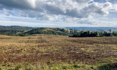 Campo de 87,6 hectáreas colindante a carretera, con río y a 15 min de Los Muermos