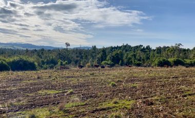 Campo de 87,6 hectáreas colindante a carretera, con río y a 15 min de Los Muermos
