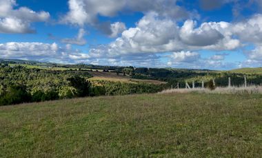 Campo de 87,6 hectáreas colindante a carretera, con río y a 15 min de Los Muermos