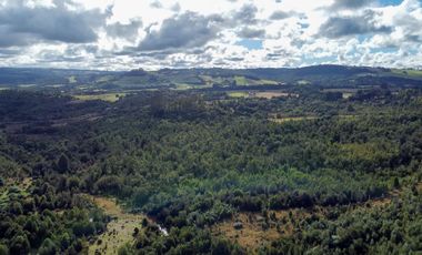 Campo de 87,6 hectáreas colindante a carretera, con río y a 15 min de Los Muermos