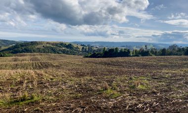 Campo de 87,6 hectáreas colindante a carretera, con río y a 15 min de Los Muermos
