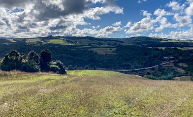 Campo de 87,6 hectáreas colindante a carretera, con río y a 15 min de Los Muermos