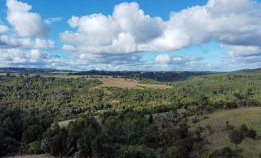 Campo de 87,6 hectáreas colindante a carretera, con río y a 15 min de Los Muermos