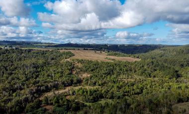 Campo de 87,6 hectáreas colindante a carretera, con río y a 15 min de Los Muermos