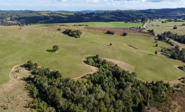 Campo de 87,6 hectáreas colindante a carretera, con río y a 15 min de Los Muermos