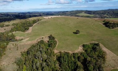 Campo de 87,6 hectáreas colindante a carretera, con río y a 15 min de Los Muermos