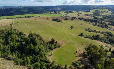 Campo de 87,6 hectáreas colindante a carretera, con río y a 15 min de Los Muermos