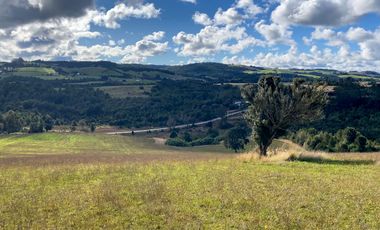 Campo de 87,6 hectáreas colindante a carretera, con río y a 15 min de Los Muermos