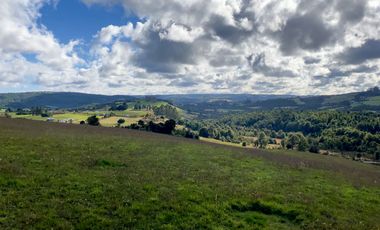 Campo de 87,6 hectáreas colindante a carretera, con río y a 15 min de Los Muermos