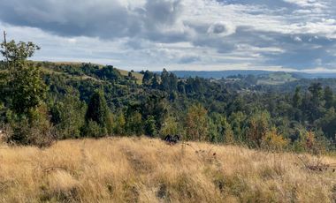 Campo de 87,6 hectáreas colindante a carretera, con río y a 15 min de Los Muermos