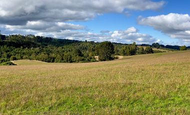 Campo de 87,6 hectáreas colindante a carretera, con río y a 15 min de Los Muermos