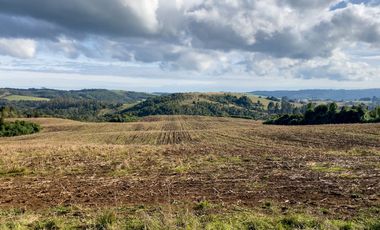 Campo de 87,6 hectáreas colindante a carretera, con río y a 15 min de Los Muermos