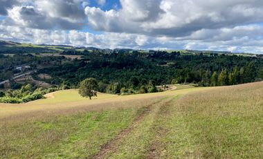 Campo de 87,6 hectáreas colindante a carretera, con río y a 15 min de Los Muermos