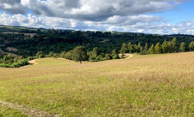 Campo de 87,6 hectáreas colindante a carretera, con río y a 15 min de Los Muermos