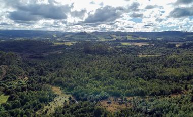 Campo de 87,6 hectáreas colindante a carretera, con río y a 15 min de Los Muermos