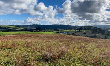Campo de 87,6 hectáreas colindante a carretera, con río y a 15 min de Los Muermos