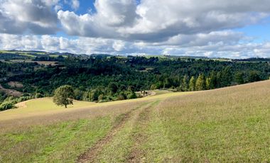 Campo de 87,6 hectáreas colindante a carretera, con río y a 15 min de Los Muermos