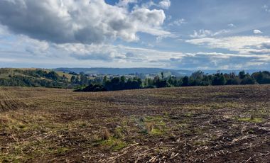 Campo de 87,6 hectáreas colindante a carretera, con río y a 15 min de Los Muermos