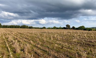Campo de 87,6 hectáreas colindante a carretera, con río y a 15 min de Los Muermos