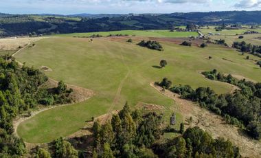 Campo de 87,6 hectáreas colindante a carretera, con río y a 15 min de Los Muermos