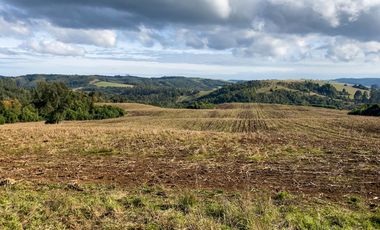 Campo de 87,6 hectáreas colindante a carretera, con río y a 15 min de Los Muermos