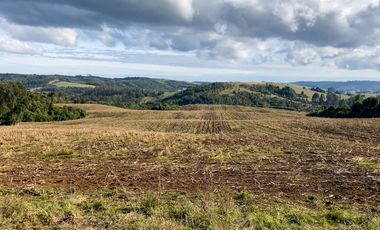 Campo de 87,6 hectáreas colindante a carretera, con río y a 15 min de Los Muermos