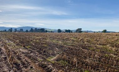 Campo de 87,6 hectáreas colindante a carretera, con río y a 15 min de Los Muermos