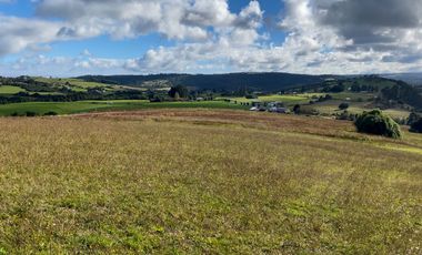 Campo de 87,6 hectáreas colindante a carretera, con río y a 15 min de Los Muermos