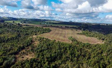 Campo de 87,6 hectáreas colindante a carretera, con río y a 15 min de Los Muermos