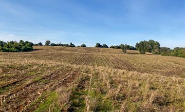 Campo de 87,6 hectáreas colindante a carretera, con río y a 15 min de Los Muermos