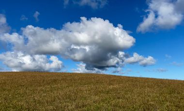 Campo de 87,6 hectáreas colindante a carretera, con río y a 15 min de Los Muermos