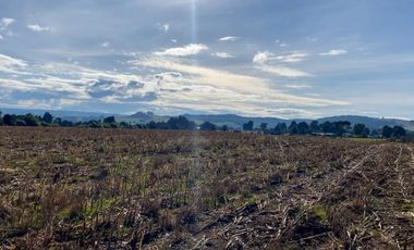 Campo de 87,6 hectáreas colindante a carretera, con río y a 15 min de Los Muermos