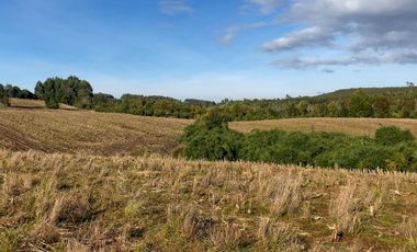 Campo de 87,6 hectáreas colindante a carretera, con río y a 15 min de Los Muermos