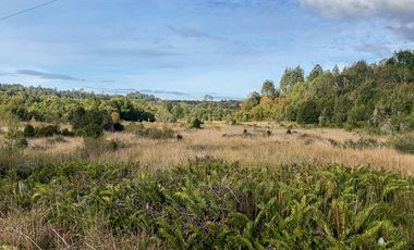Campo de 87,6 hectáreas colindante a carretera, con río y a 15 min de Los Muermos