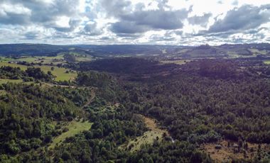 Campo de 87,6 hectáreas colindante a carretera, con río y a 15 min de Los Muermos