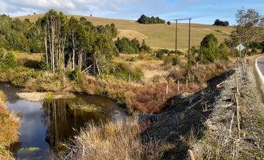 Campo de 87,6 hectáreas colindante a carretera, con río y a 15 min de Los Muermos