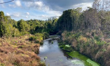 Campo de 87,6 hectáreas colindante a carretera, con río y a 15 min de Los Muermos