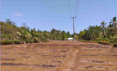 Tanah 1 ha di Cimerak Pangandaran