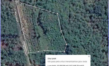 Tanah 1 ha di Cimerak Pangandaran