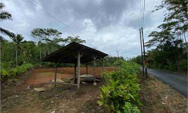 Tanah 1 ha di Cimerak Pangandaran