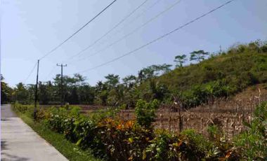 Tanah 1 ha di Cimerak Pangandaran