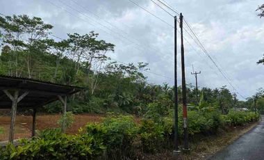 Tanah 1 ha di Cimerak Pangandaran