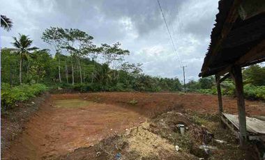 Tanah 1 ha di Cimerak Pangandaran