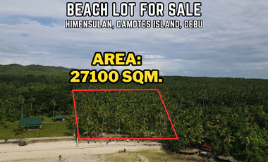 Spectacular Beach Lot for Sale in Himensulan, Camotes Island
