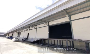 Factory or Warehouse 5,022 sqm for RENT at Phraek Sa Mai, Mueang Samut Prakan, Samut Prakan/ 泰国仓库/工厂，出租/出售 (Property ID: AT557R)