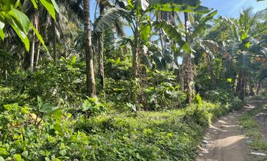 For Sale! 10,574 SQM Agricultural or Farm Land in Sariaya, Quezon